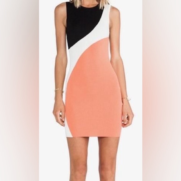Torn by Ronny Kobo bodycon dress, size 0 - Picture 3 of 7